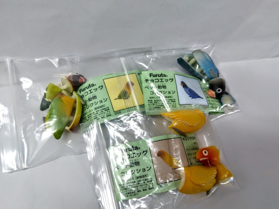 Furuta Kaiyodo Choco egg animal figure Africa Agapornis Love bird figurine x 3