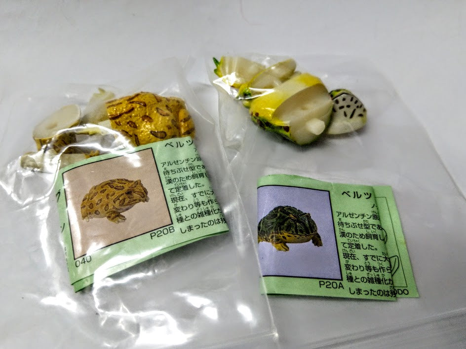 Kaiyodo Furuta Choco egg animal figure Collection - horned frog x 2 pcs