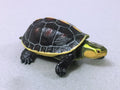 Furuta Kayodo life like animal choco-egg figuer - Yellow Margined Box Turtle 5cm