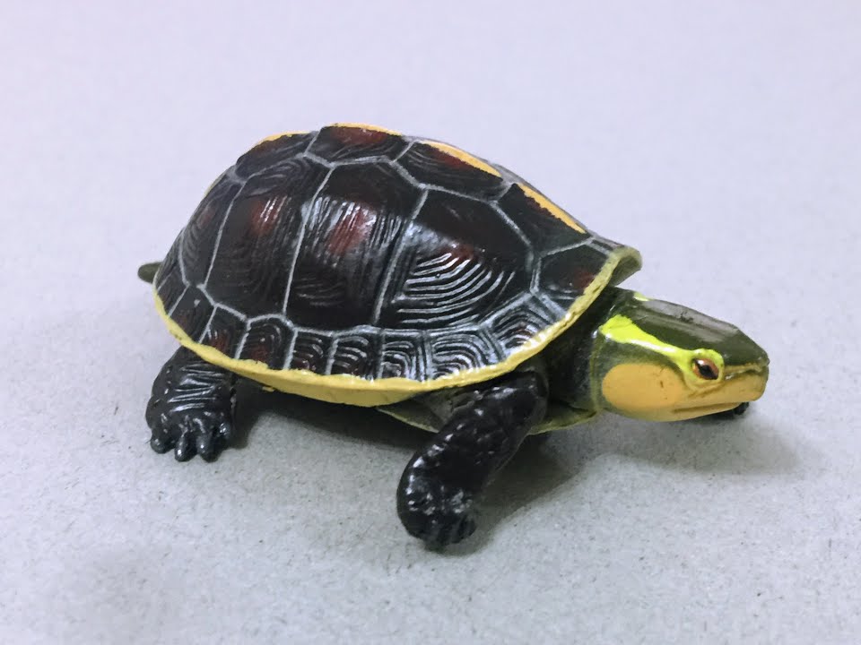 Furuta Kayodo life like animal choco-egg figuer - Yellow Margined Box Turtle 5cm