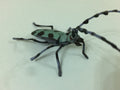 Furuta Kaiyodo Choco egg animal figure - Lapiz Lazuli Long Horned Beetle