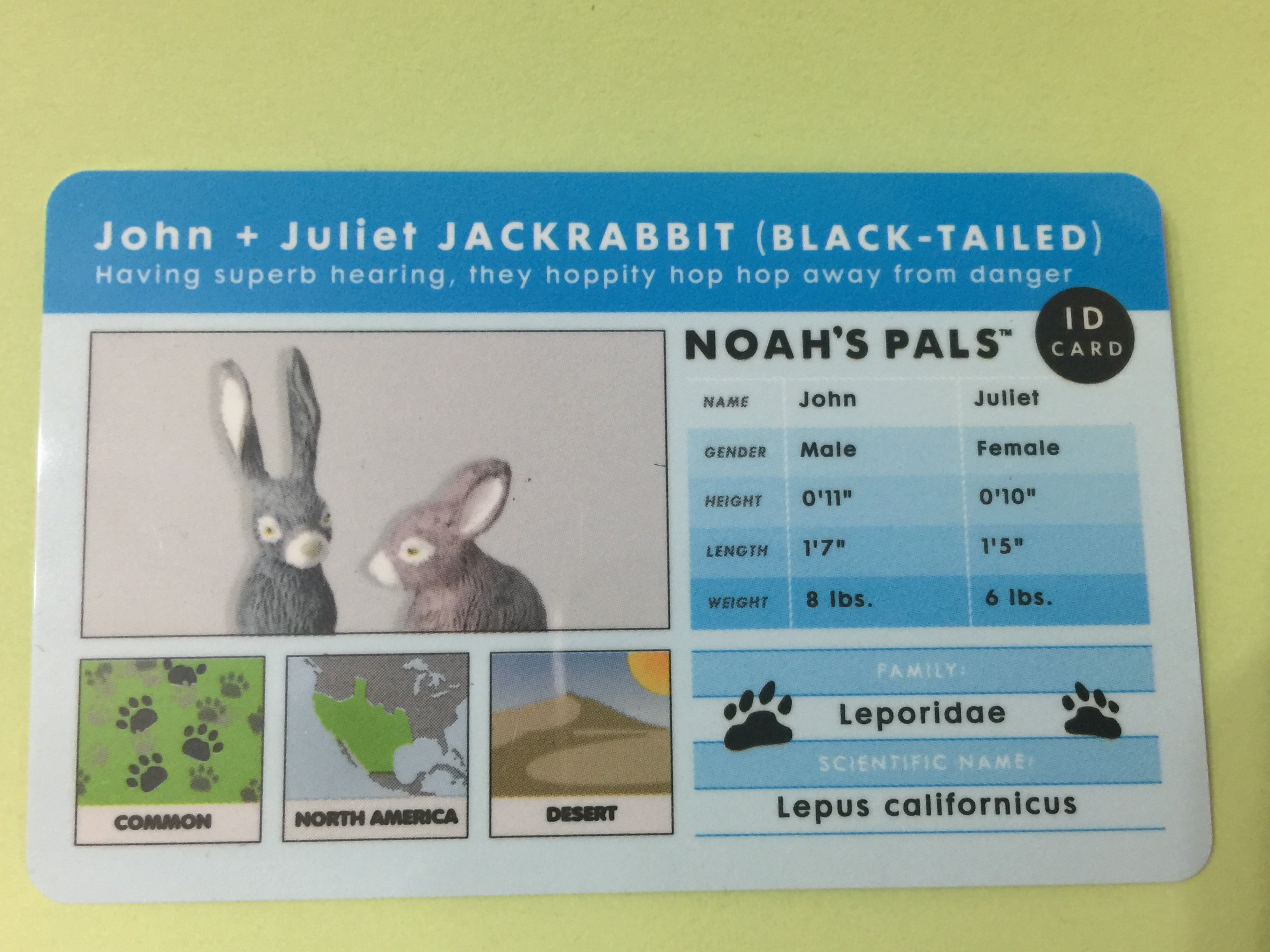 Noah's Pals Noah ark Animal figure 1/24 Two Bunnies Jackrabbit - John & Juliet