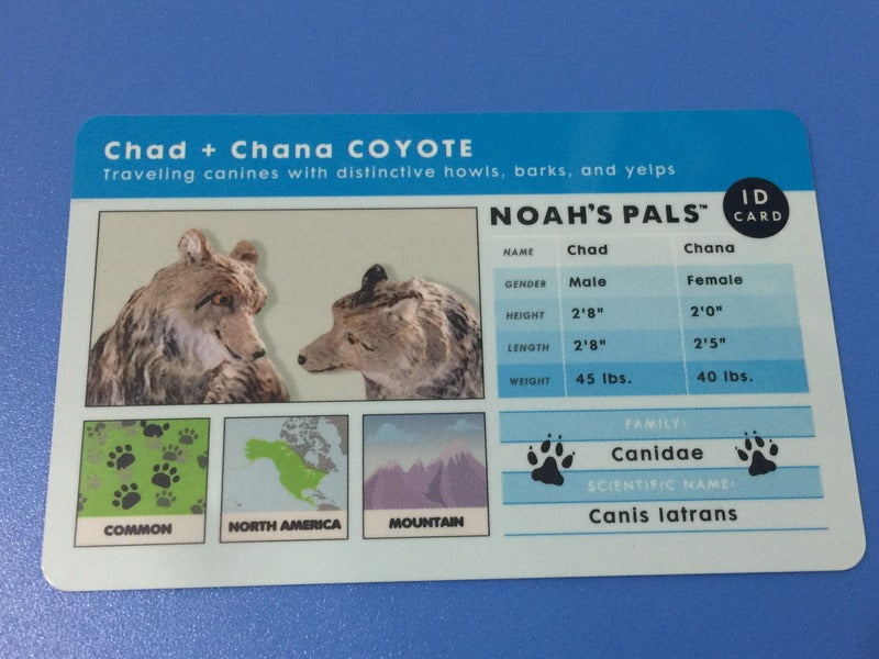 Noah's Pals Wild Life Animal figures 1/24 Two Coyote Chad & Chana Noah ark