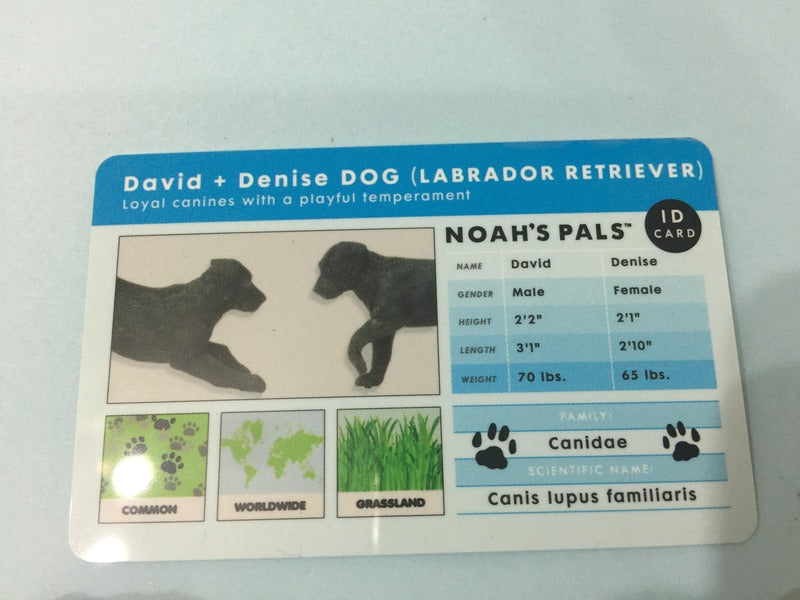 Noah's Pals Noah ark Animal figure 1/24 Two Dogs David Denise Labrador Retriever