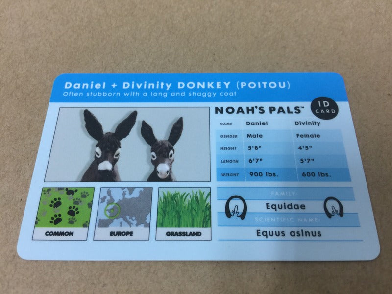 Noah's Pals Noah ark Animal figures 1/24 Donkey (Poitou) Daniel and Divinity