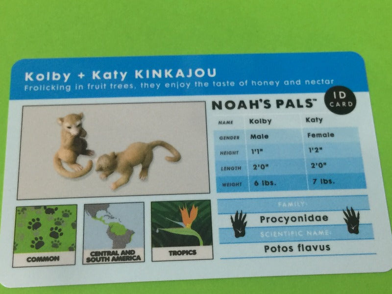 Noah's Pals Noah ark Animal figure 1/24 Honey bear Kinkajou (Kolby & Katy)