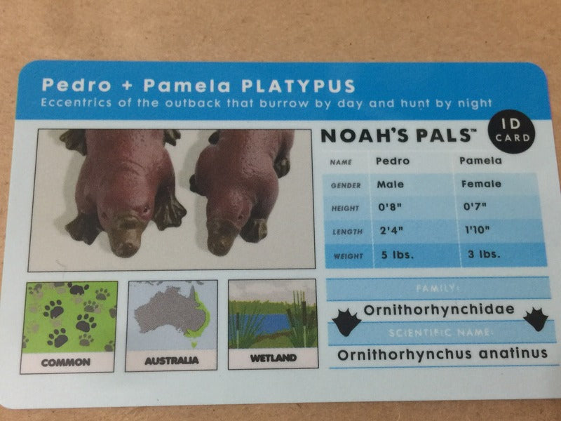 Noah's Pals Animal figure 1/24 Platypus + Skunk  ( pair in boxes ) Noah ark