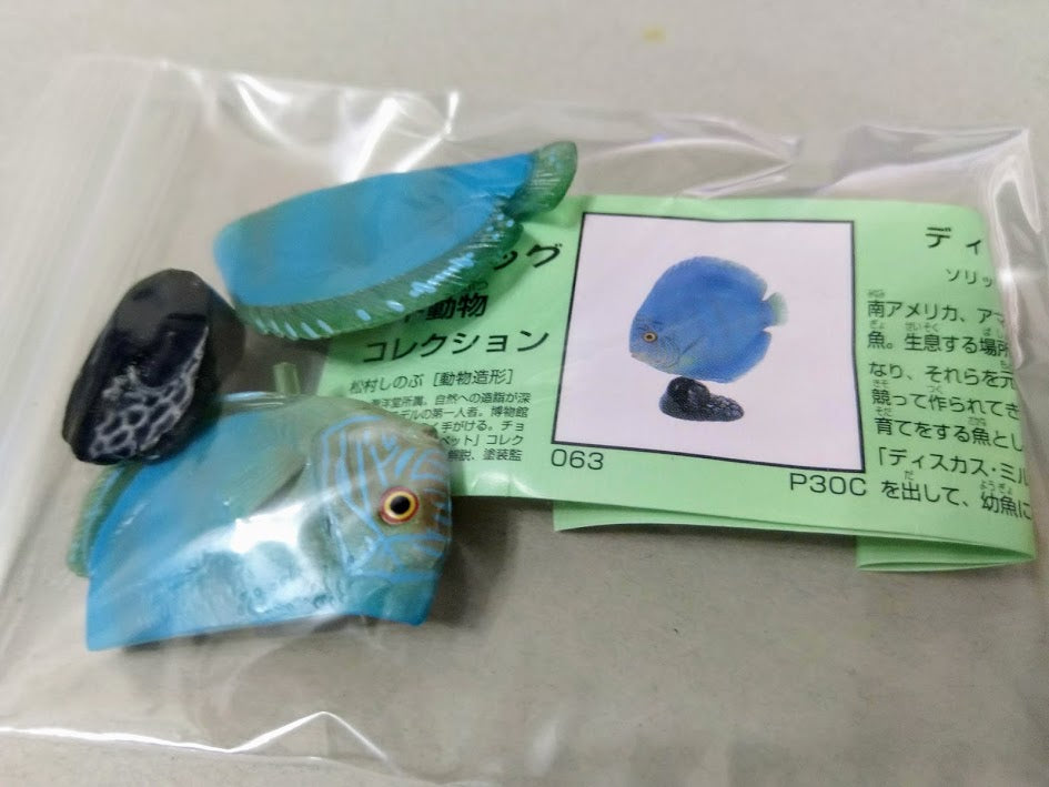 Furuta Kaiyodo Choco egg animal figure x 3 pieces color Discus fish lot set