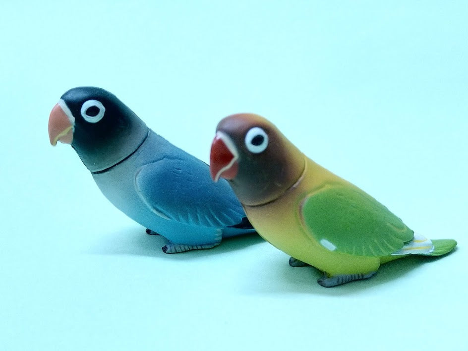 Furuta Kaiyodo Choco egg animal figure Africa Agapornis Love bird figurine x 3