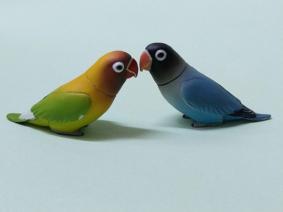 Furuta Kaiyodo Choco egg animal figure Africa Agapornis Love bird figurine x 3