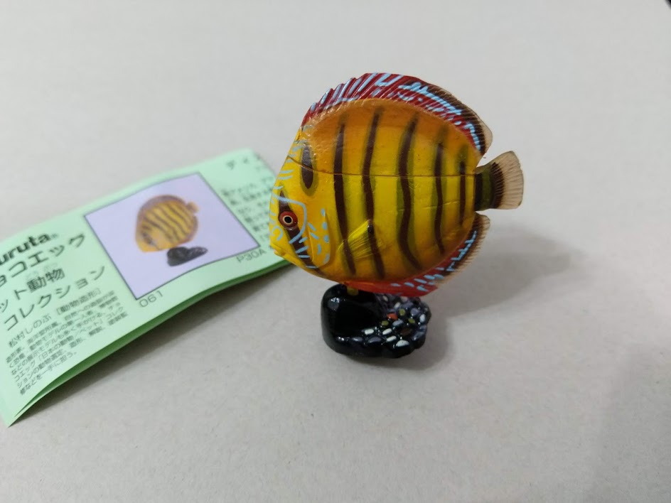 Furuta Kaiyodo Choco egg animal figure x 3 pieces color Discus fish lot set